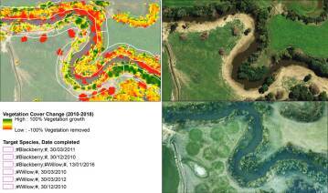 Change in riparian vegetation mapped from LiDAR
