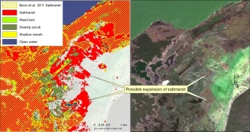 Possible expansion of saltmarsh since 2011 identified using Sentinel-2 image classification