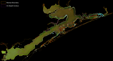 False colour Seninel-2 imagery of the Gippsland Lakes Ramsar Site with segrass beds highlighed red January 2021