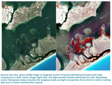 False colour image to show seagrass in Sentinel-2 in the the Gippsland Lakes Ramsar Site